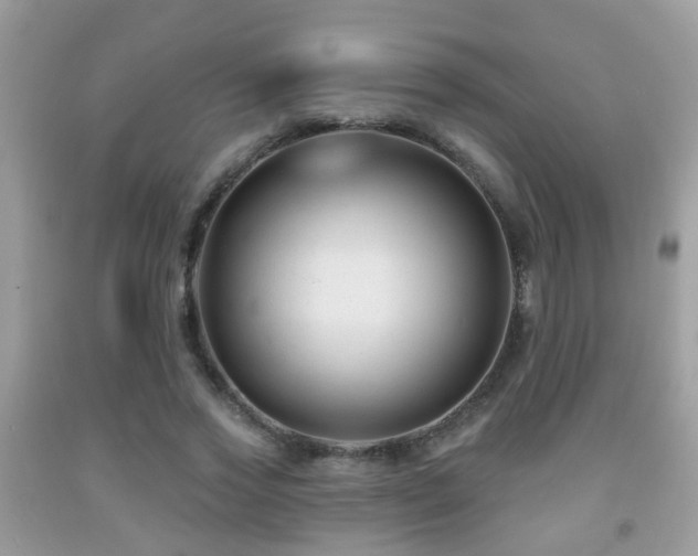 X0000091990733200709061418