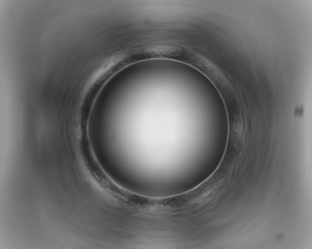 X0000091990734200709061418