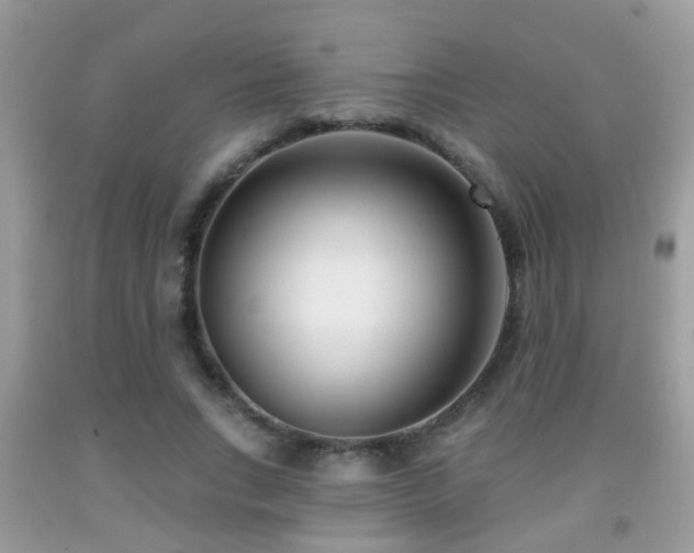 X0000091990735200709061418