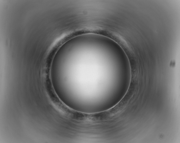 X0000091990736200709061418