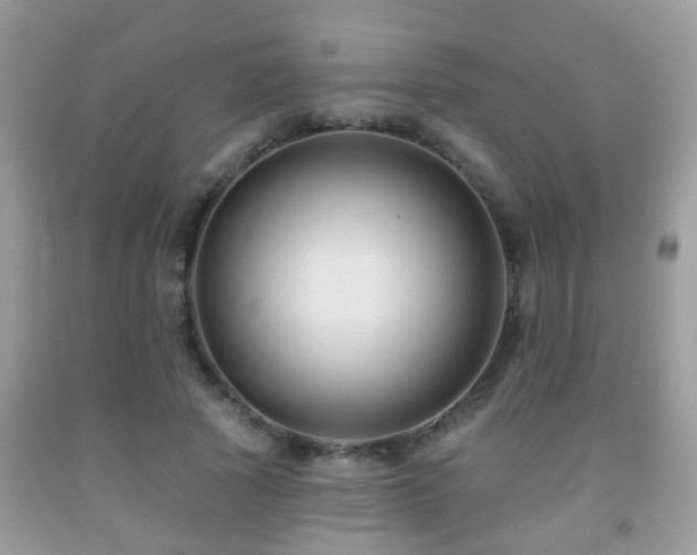 X0000091990737200709061418