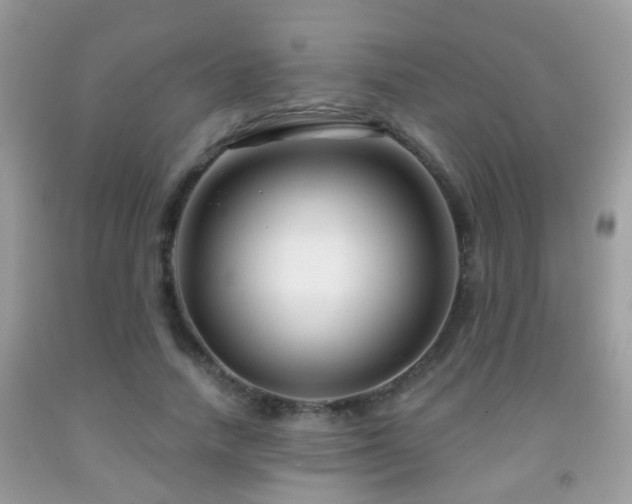 X0000091990738200709061418