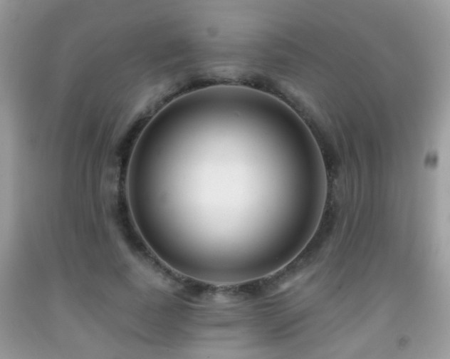 X0000091990739200709061418