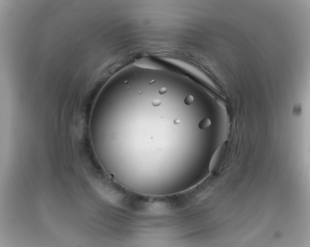 X0000091990741200709061418