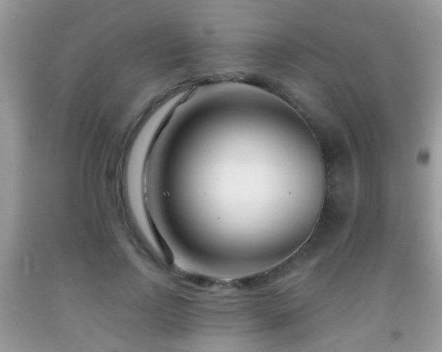 X0000091990742200709061418