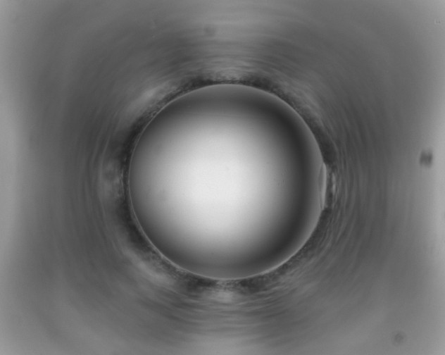 X0000091990743200709061418