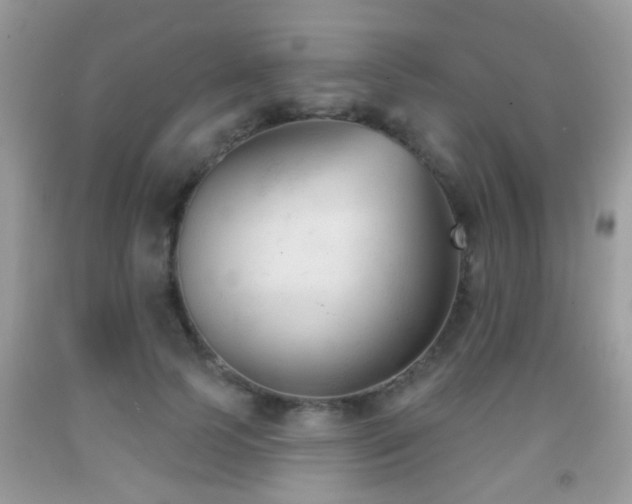 X0000091990745200709061418