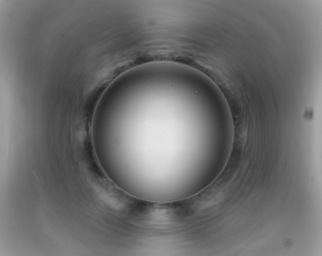 X0000091990746200709061418
