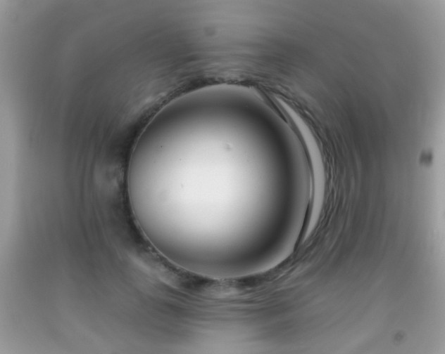 X0000091990747200709061418