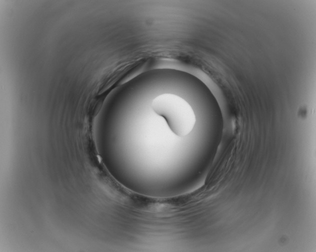 X0000091990748200709061418