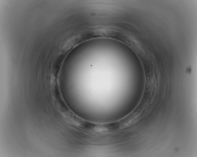 X0000091990749200709061418