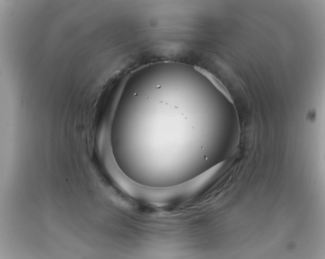 X0000091990750200709061418