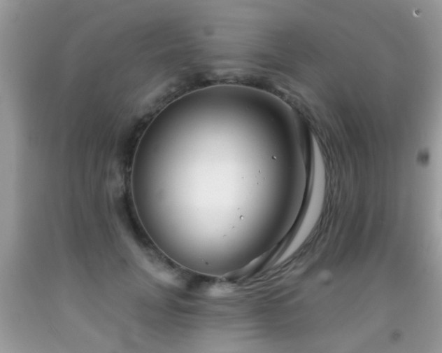 X0000091990751200709061418