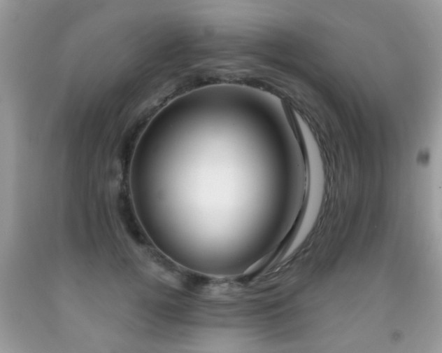 X0000091990752200709061418