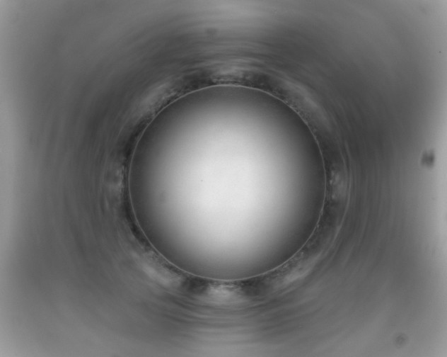 X0000091990753200709061418