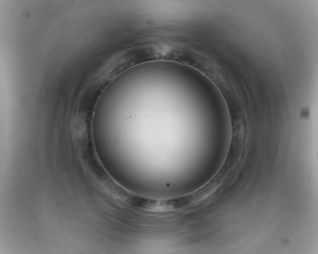 X0000091990754200709061418