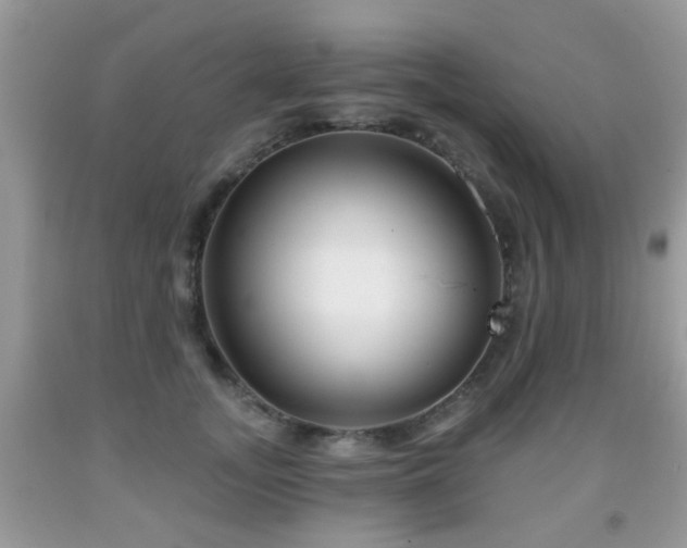 X0000091990755200709061418