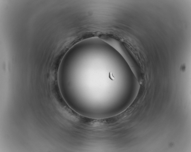 X0000091990756200709061418