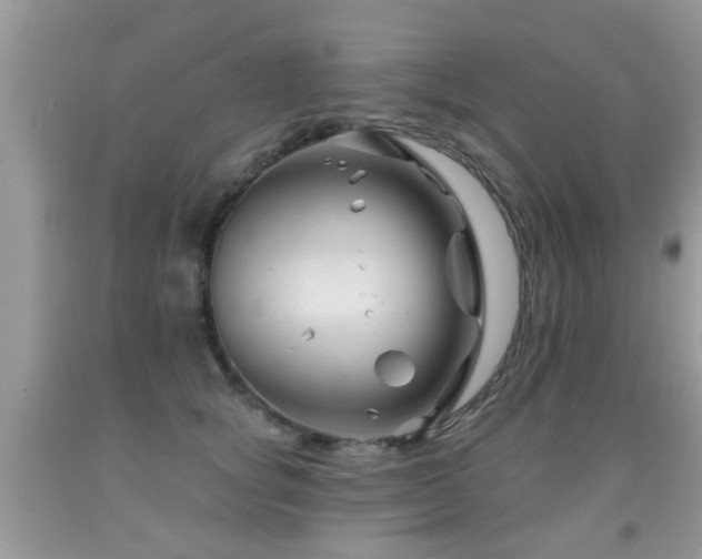 X0000091990757200709061418