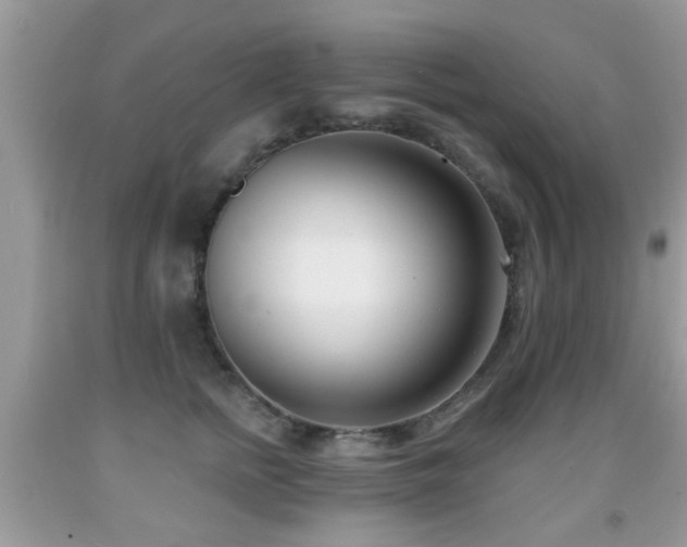 X0000091990758200709061418