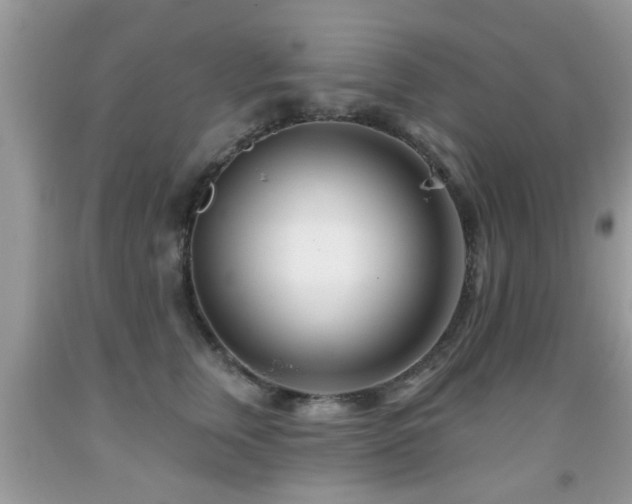 X0000091990759200709061418