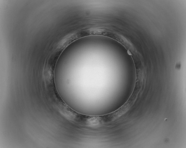 X0000091990761200709061418