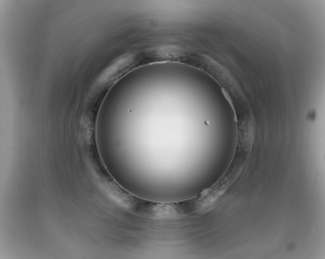 X0000091990762200709061418