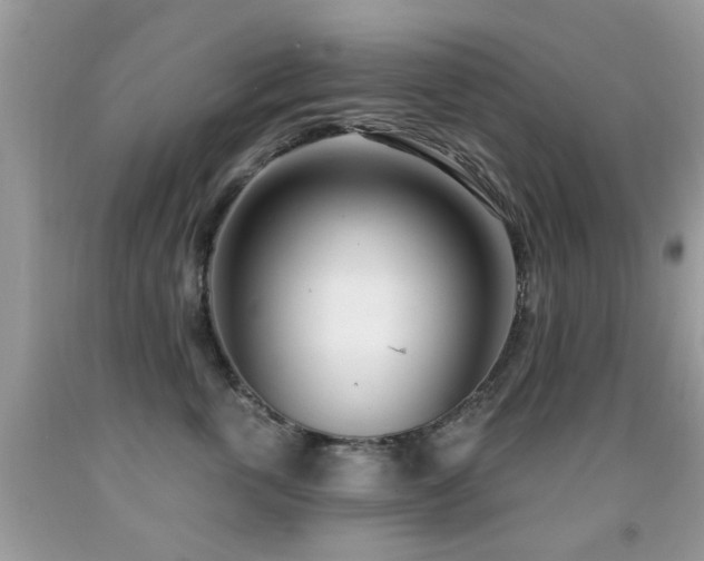 X0000091990763200709061418