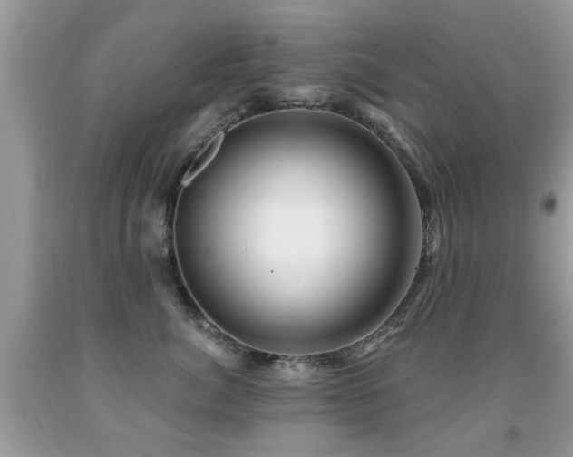 X0000091990764200709061418