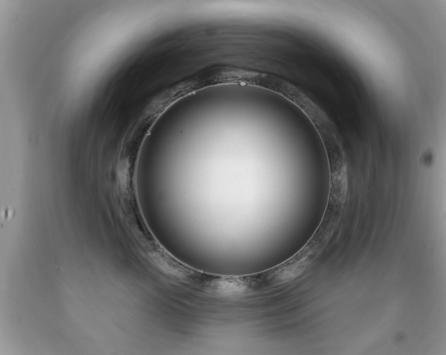 X0000091990765200709061418