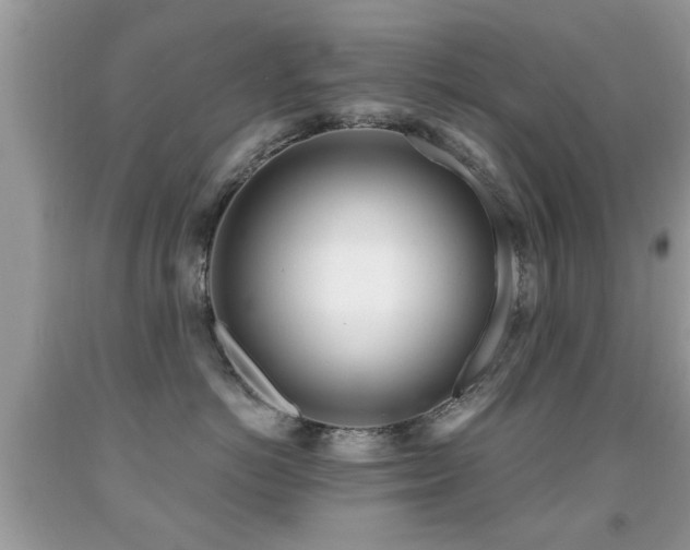 X0000091990766200709061418
