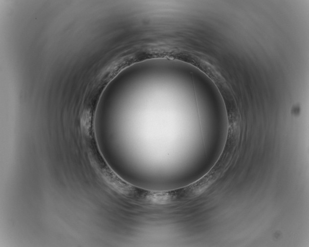 X0000091990767200709061418