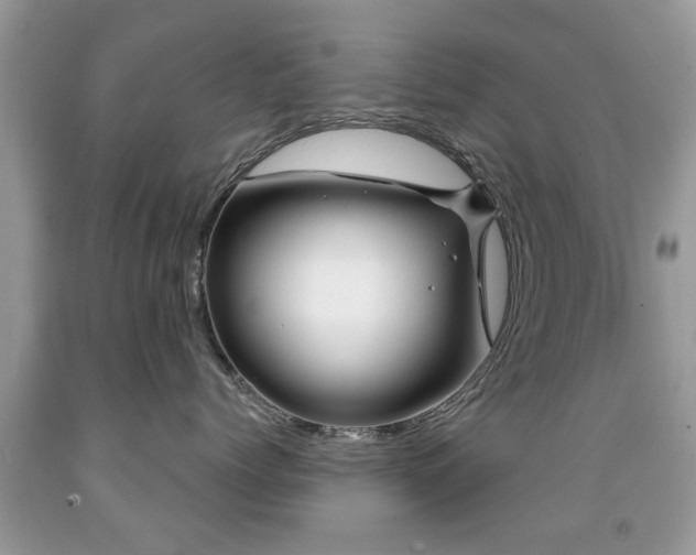 X0000091990768200709061418