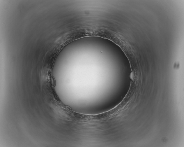 X0000091990770200709061418