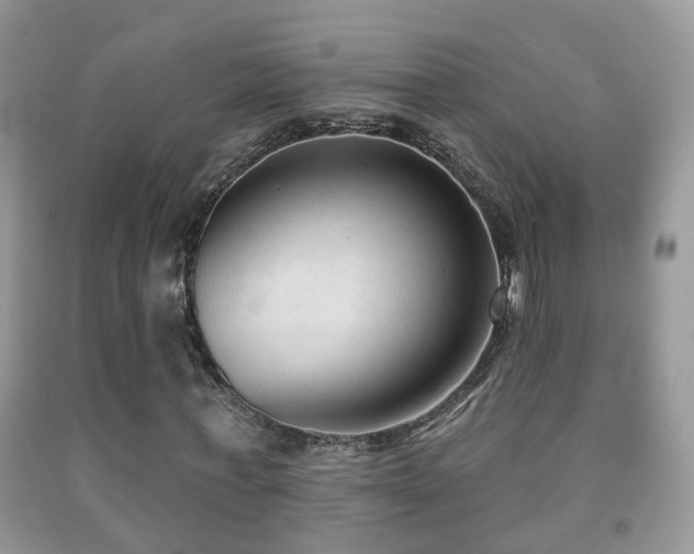 X0000091990771200709061418