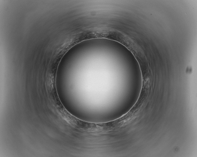 X0000091990772200709061418