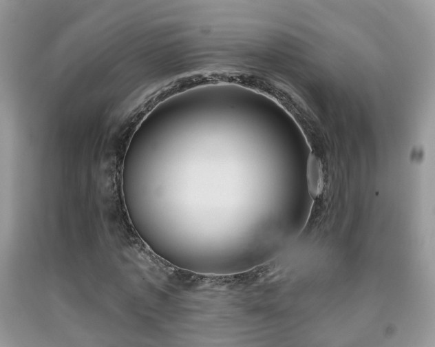 X0000091990773200709061418