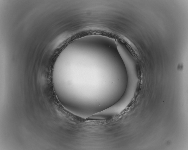X0000091990775200709061418