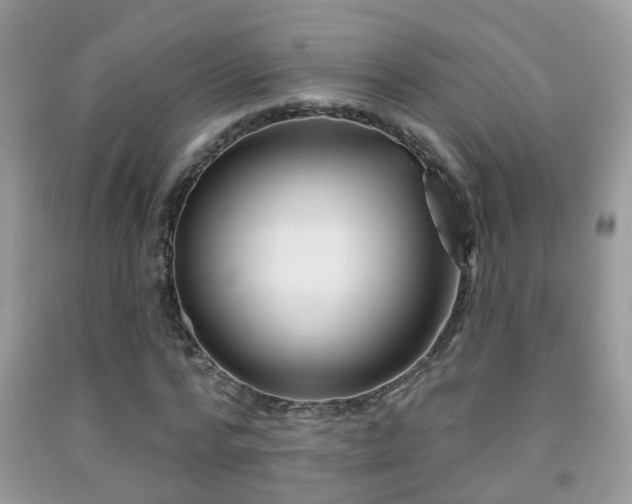 X0000091990776200709061418
