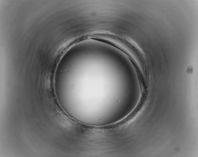 X0000091990777200709061418