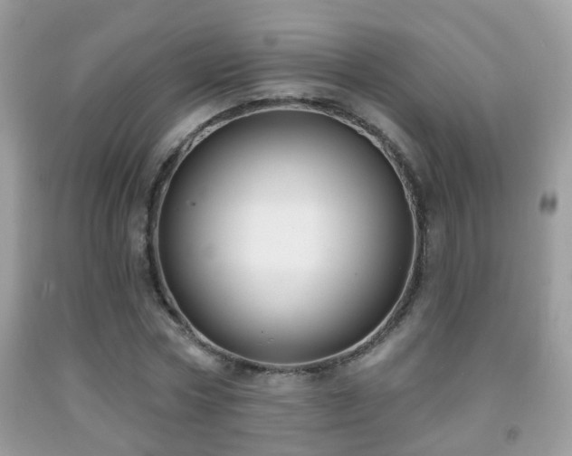 X0000091990778200709061418