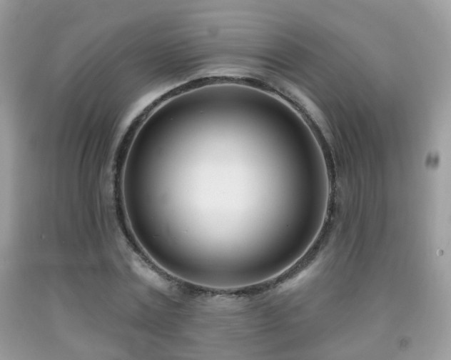 X0000091990779200709061417