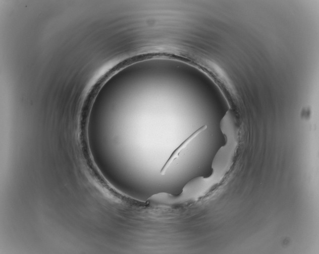 X0000091990780200709061417