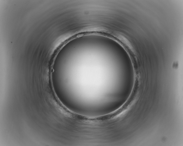 X0000091990781200709061417
