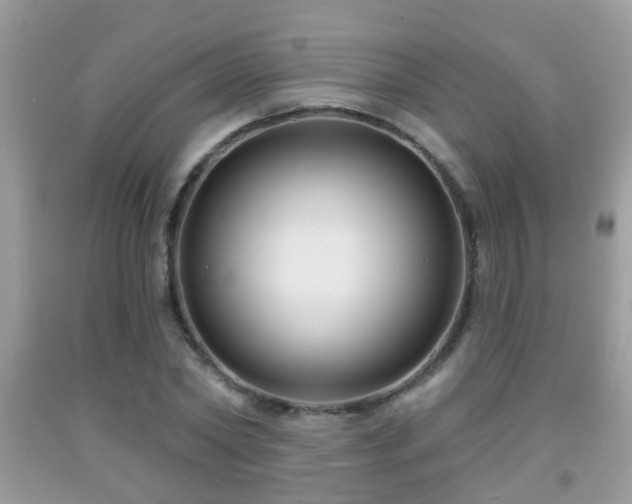 X0000091990782200709061417