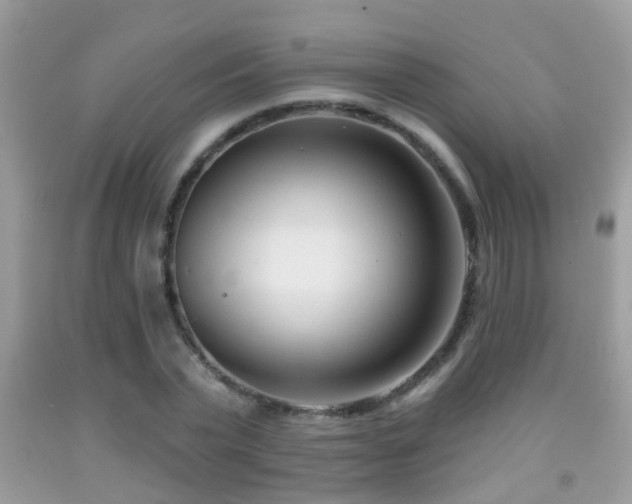 X0000091990783200709061417