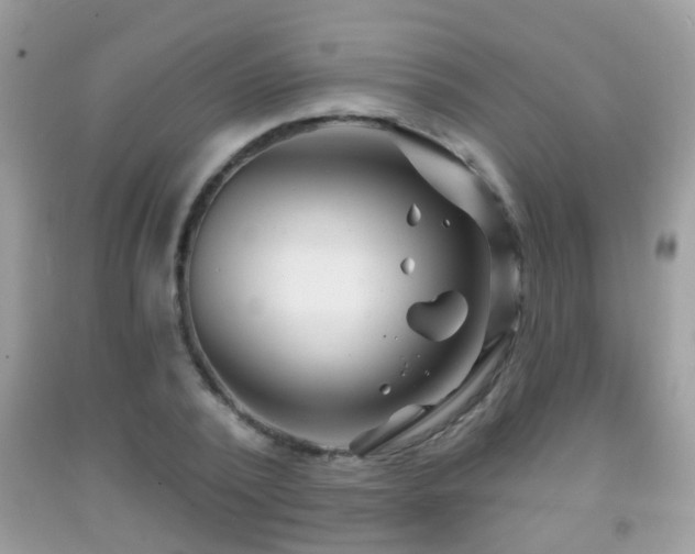 X0000091990784200709061417