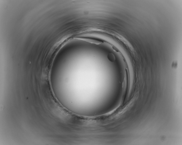 X0000091990785200709061417