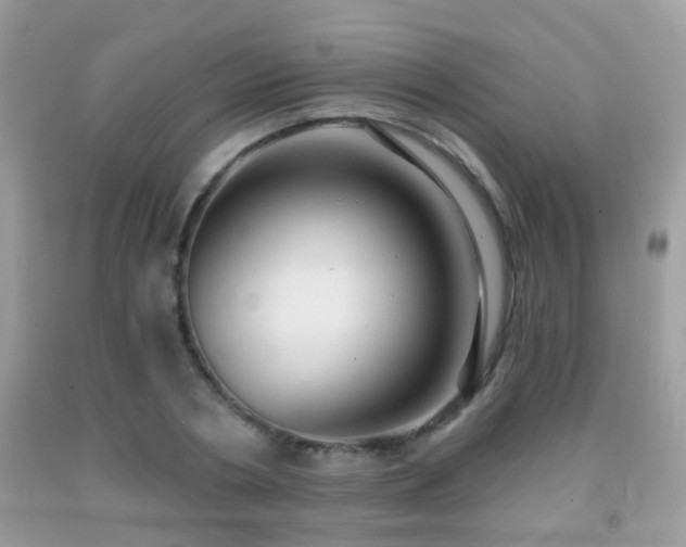 X0000091990786200709061417