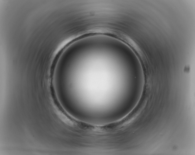 X0000091990787200709061417